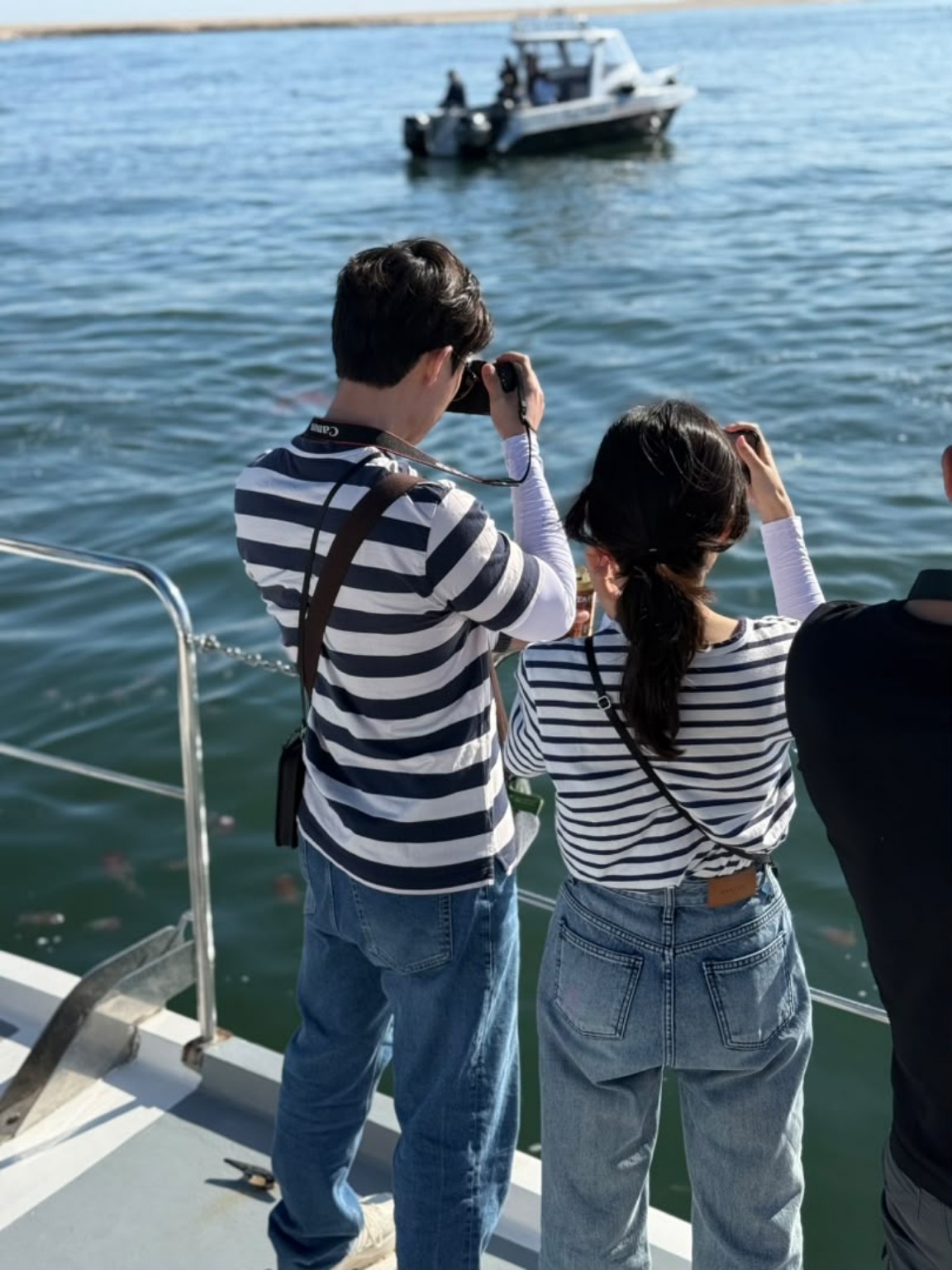Travellers enjoying a coastal wildlife experience
